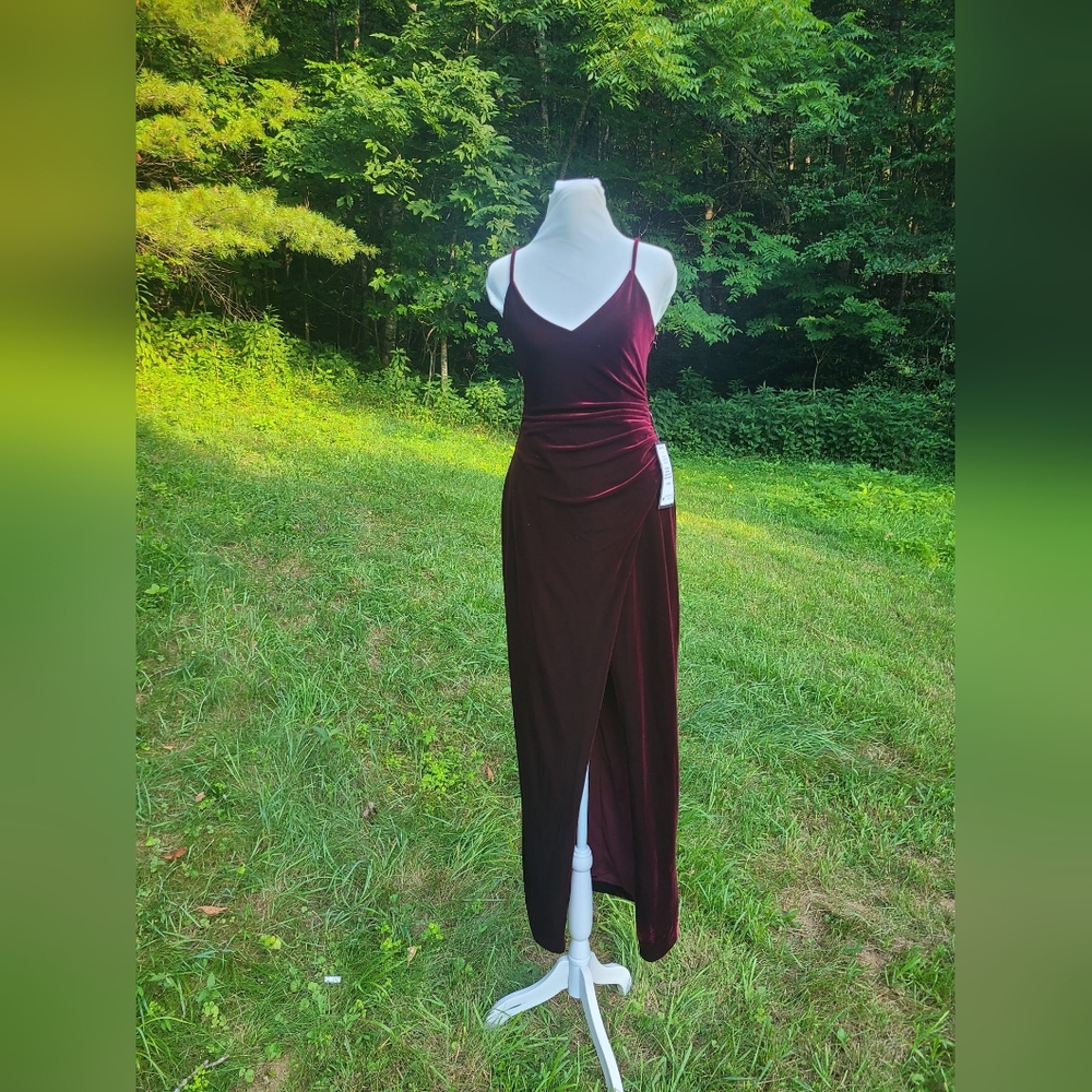 Betsy Adam Dress